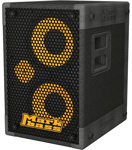 Amazon | AMPEG スピーカーキャビネット SVT-210AV | ベース
